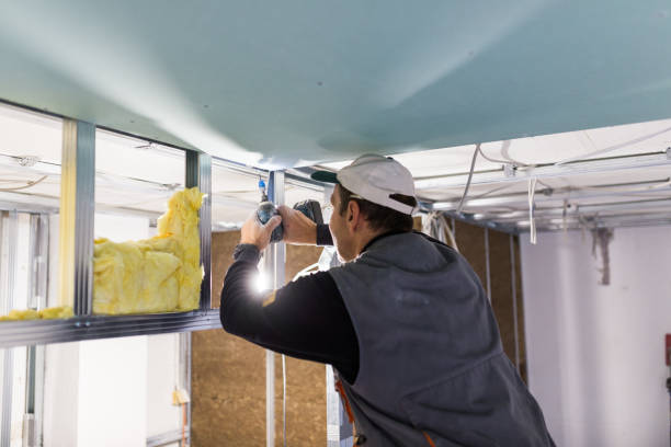 Best Insulation Materials and Products in Energy, IL